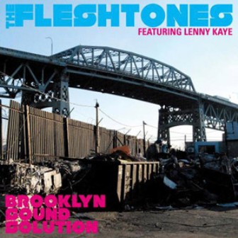 FLESHTONES, THE &  LENNY KAYE : Brooklyn Sound Solution